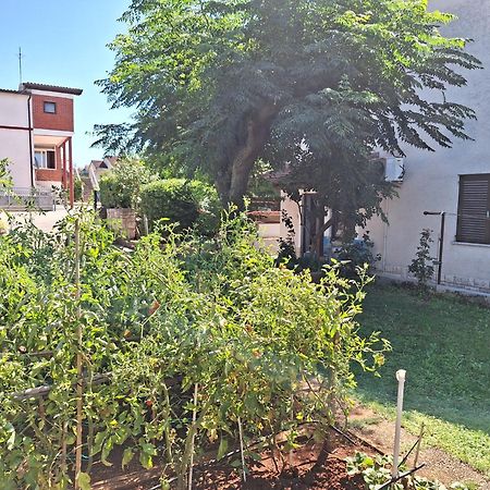 Apartments Reinic Novigrad Istria エクステリア 写真
