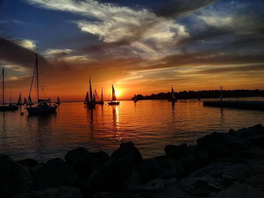 Apartments Reinic Novigrad Istria エクステリア 写真