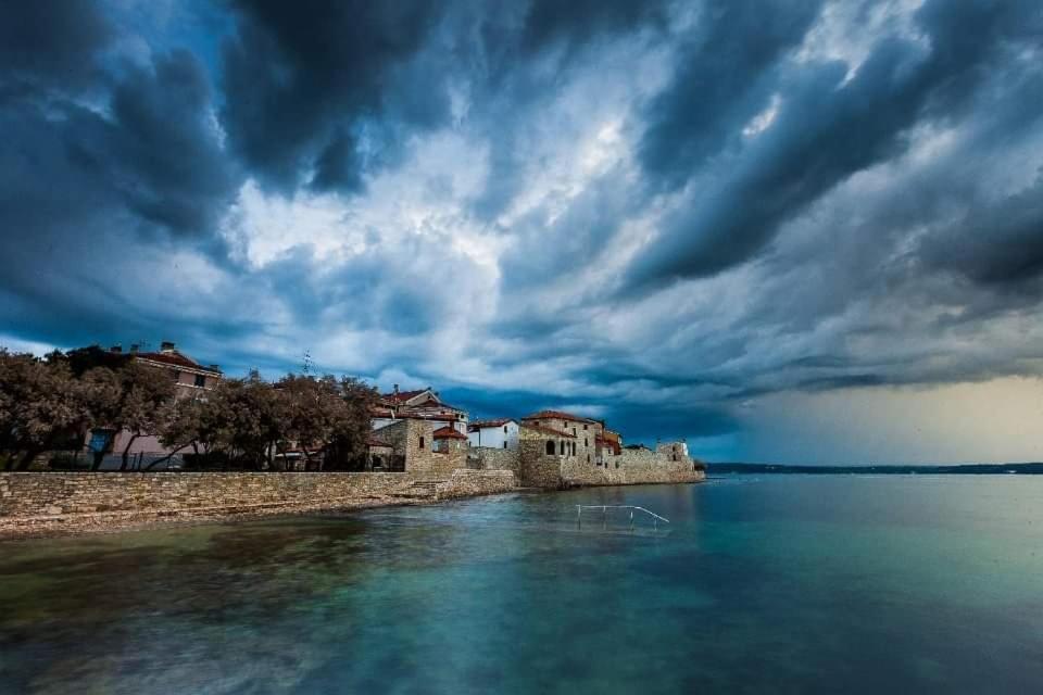 Apartments Reinic Novigrad Istria エクステリア 写真