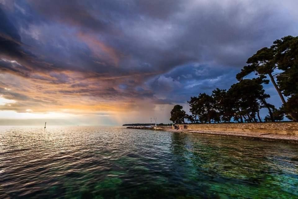 Apartments Reinic Novigrad Istria エクステリア 写真