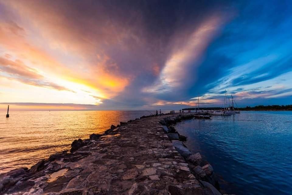 Apartments Reinic Novigrad Istria エクステリア 写真