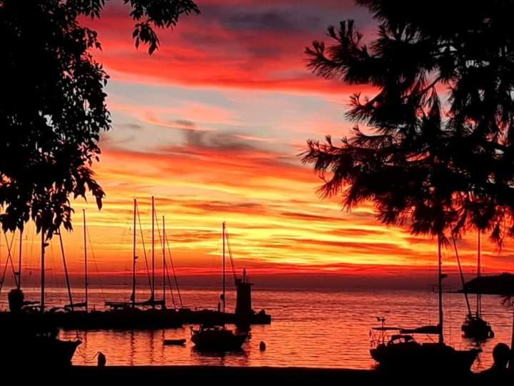 Apartments Reinic Novigrad Istria エクステリア 写真