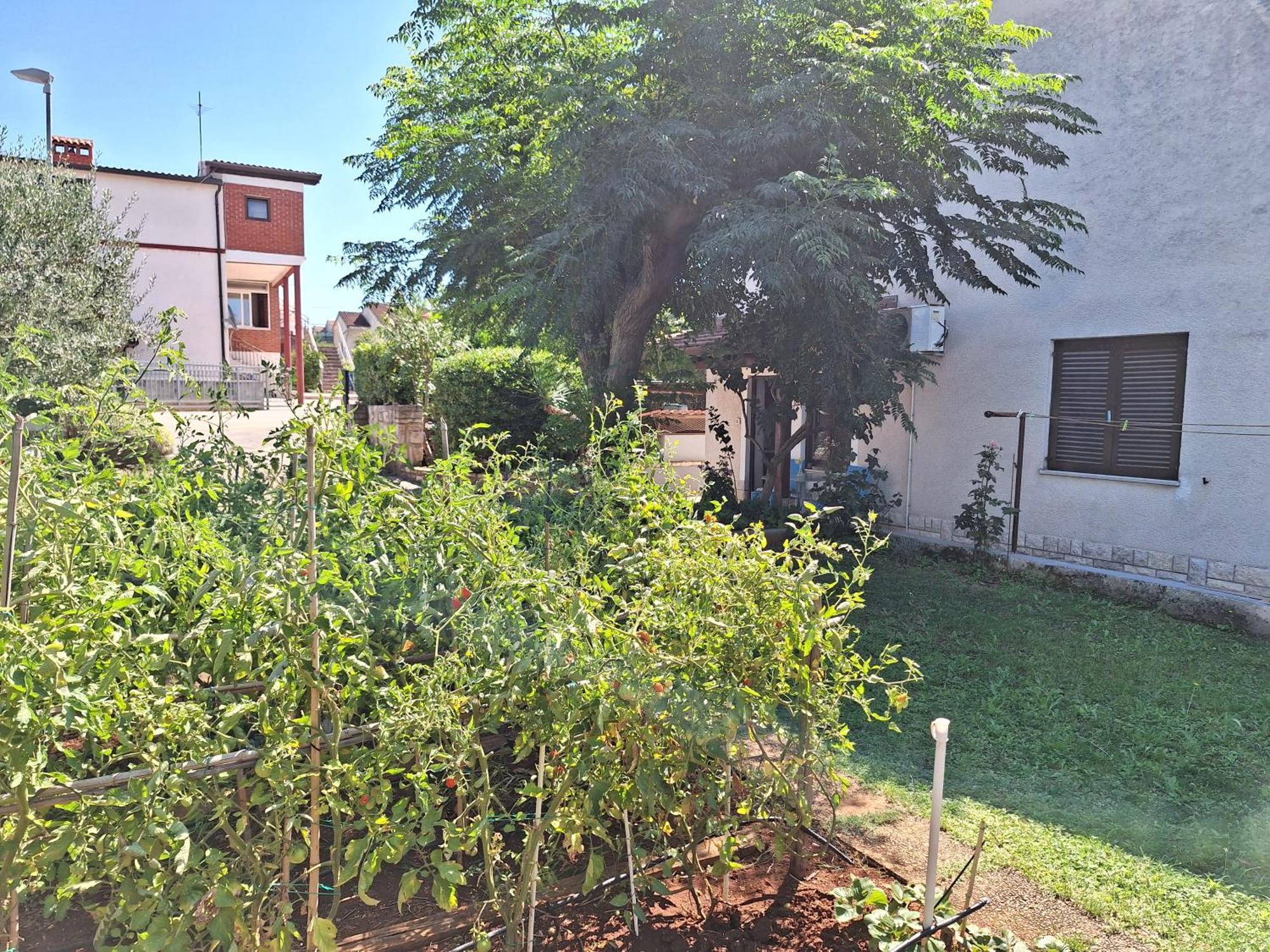 Apartments Reinic Novigrad Istria エクステリア 写真