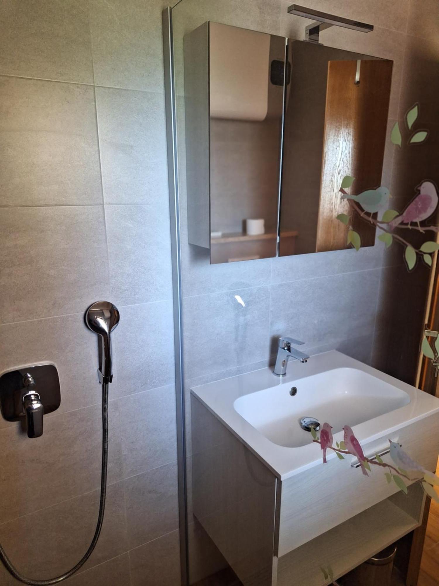 Apartments Reinic Novigrad Istria エクステリア 写真