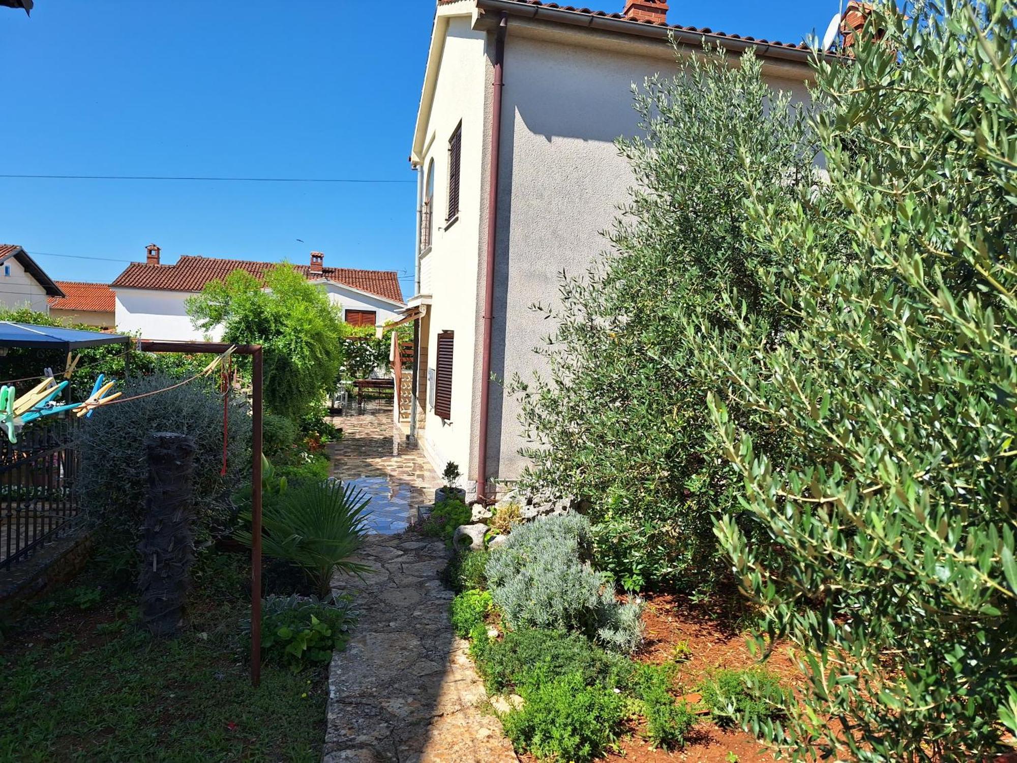 Apartments Reinic Novigrad Istria エクステリア 写真
